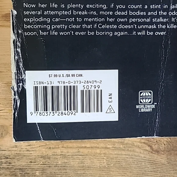 "Person of Interest" by Emery Harper Celeste Eagan Mystery - Picture 4 of 12